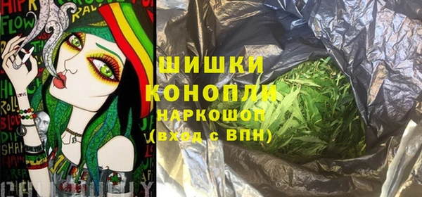 молекула духа Новокубанск