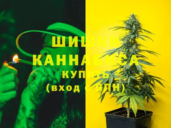 молекула духа Новокубанск