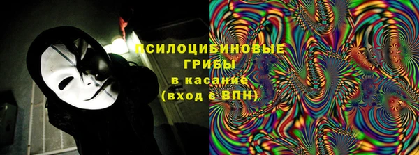 молекула духа Новокубанск