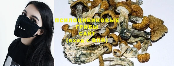 jwh Новозыбков