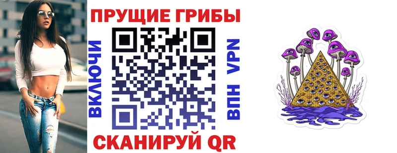 Купить где  Куртамыш  Галлюциногенные грибы Psilocybine cubensis 